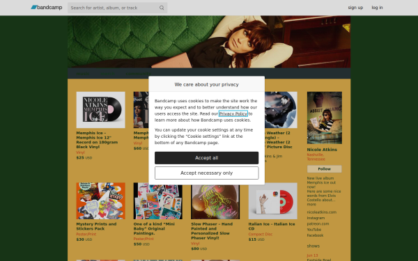 nicoleatkins.bandcamp.com