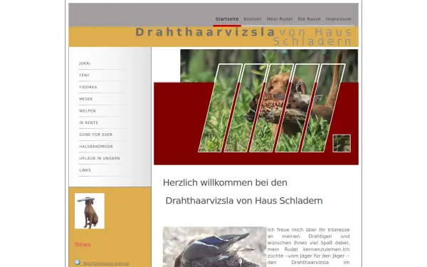 drahthaarvizsla.de