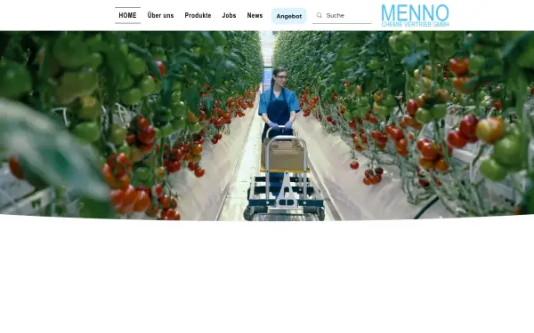 www.menno.de