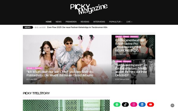pickymagazine.de