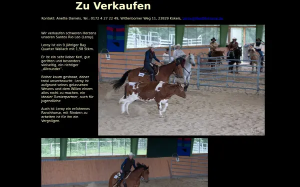 meetmyhorse.de