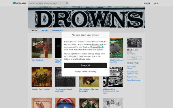 thedrowns.bandcamp.com