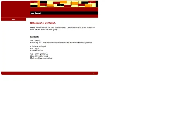 ase-consult.de