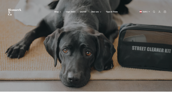 bismarckandco.at