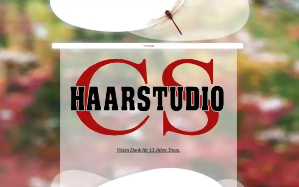 cs-haarstudio.de