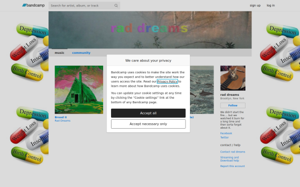 raddreams.bandcamp.com