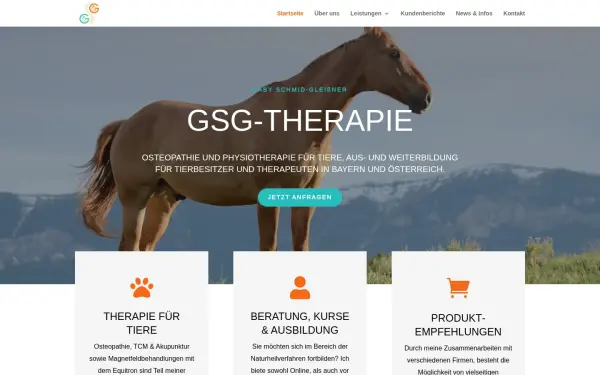 www.gsg-therapie.de