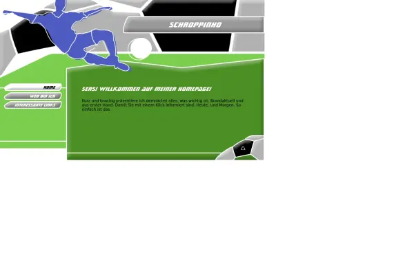 design-studios-schropp.de