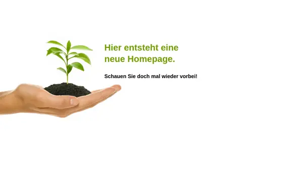 hartmann-heinrich.de