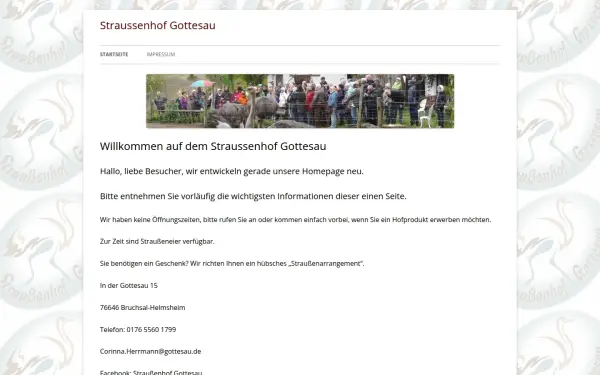 gottesau.de