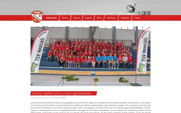 handball-neusaess.de