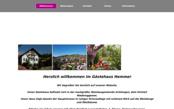 gaestehaus-hemmer.de