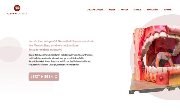 www.organmodelle.de
