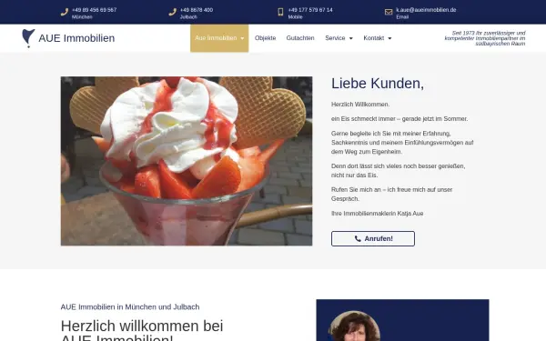 aue-immobilien.de