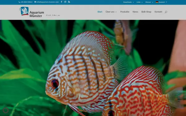 www.aquarium-munster.com