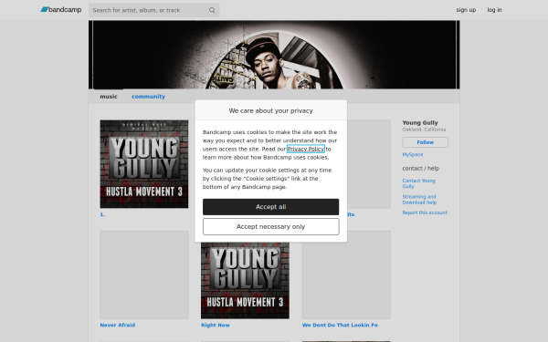younggullyyh.bandcamp.com