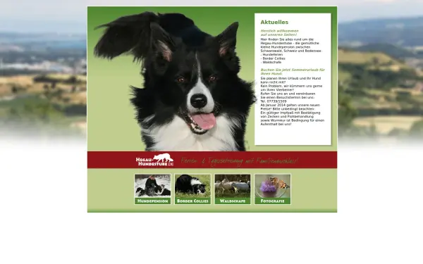 hegau-hundestube.de
