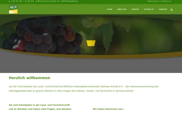 agv-sa.de