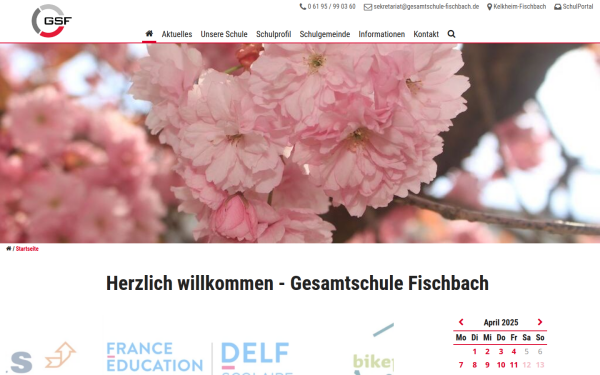 www.gesamtschule-fischbach.de