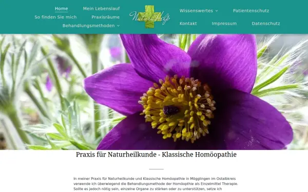 www.ah-naturheilpraxis.de