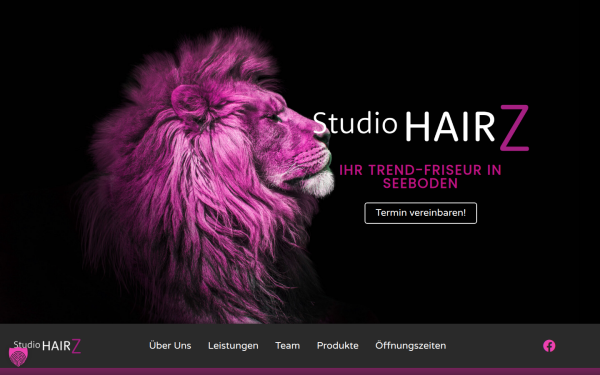 studio-hairz.at
