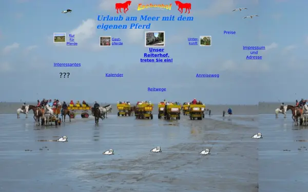 cuxhaven-reiterhof.de