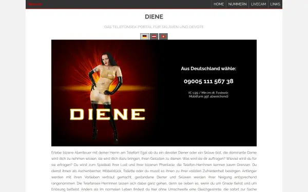 www.diene.de