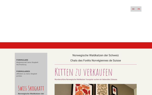 www.swissskogkatt.ch