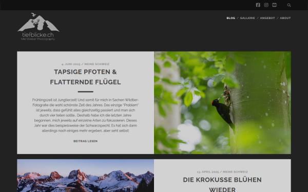 tiefblicke.ch