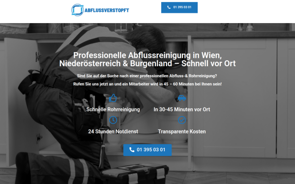 abflussverstopft.at