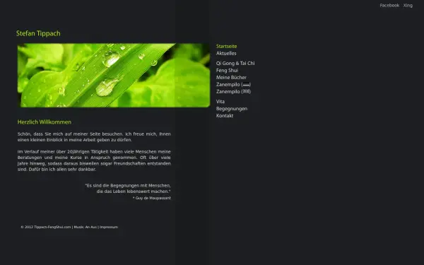 qi-gong-tai-chi-bonn.de