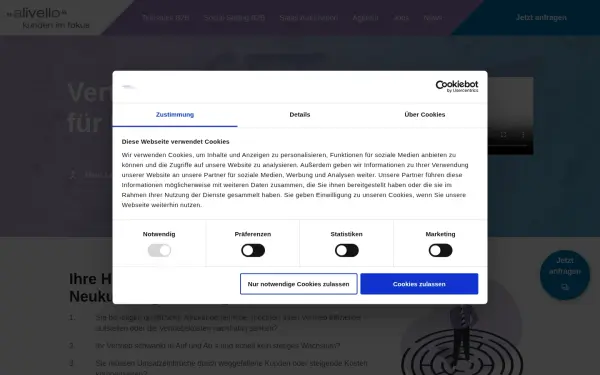 alivello.com