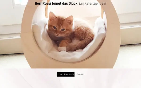 aretz-neuss.de