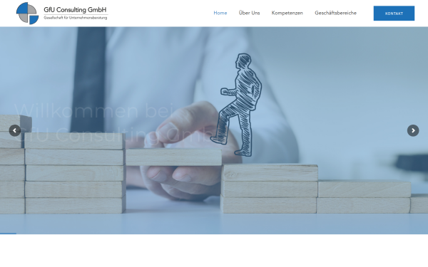 gfu-consulting.de