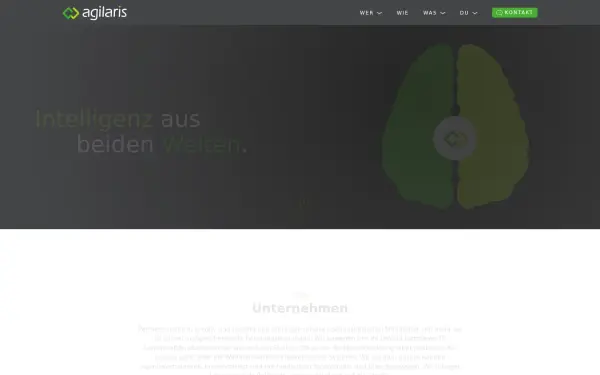 agilaris.de
