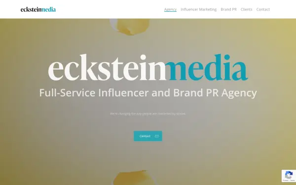 ecksteininfluence.com