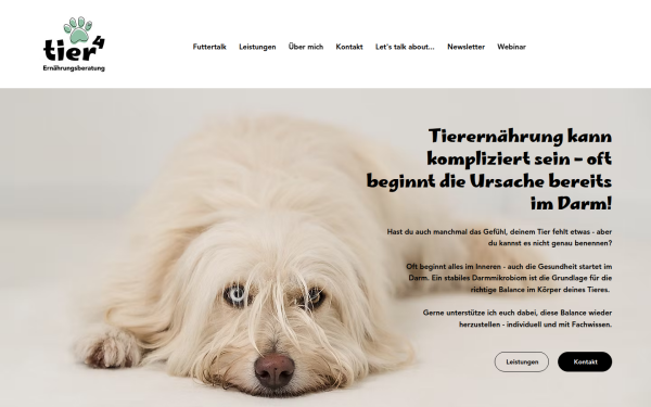 www.tierhochvier.at