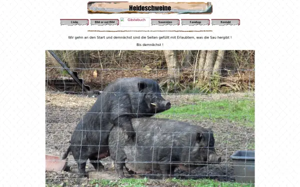 heideschweine.de