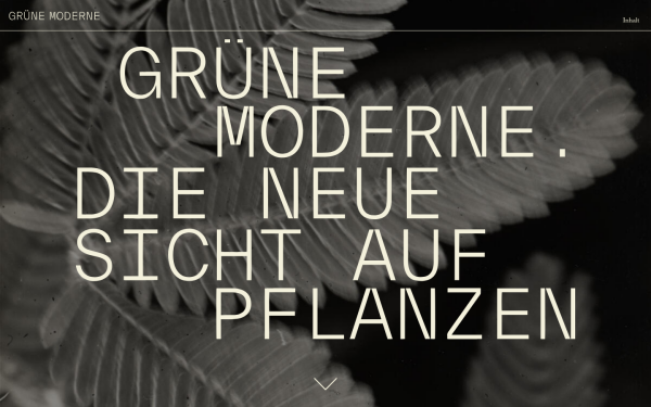 www.gruene-moderne.de