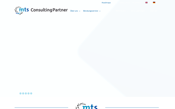 mts-consultingpartner.de