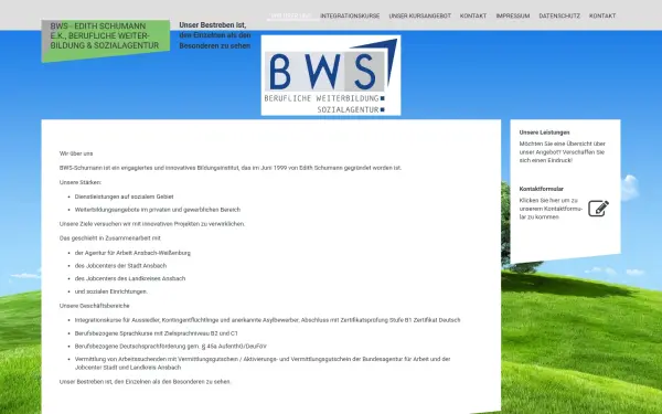 bws-schumann.de