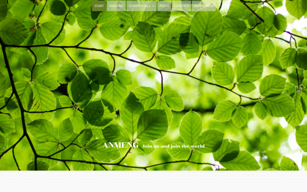 anmeng.de