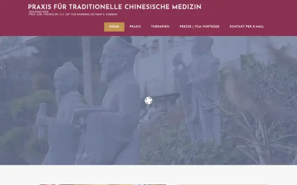 tcm-praxis-kummer.de