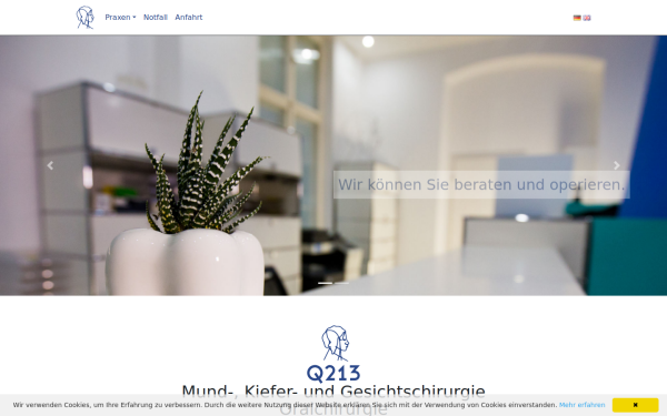 www.q213.de