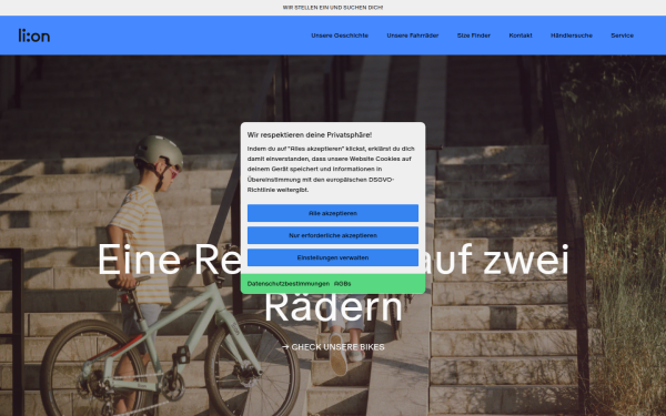 lion-bikes.com
