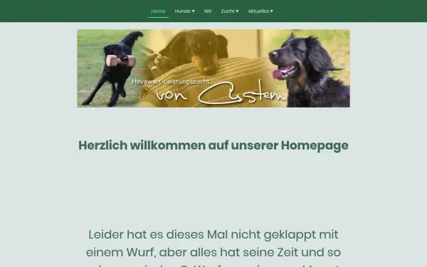 www.custem.de