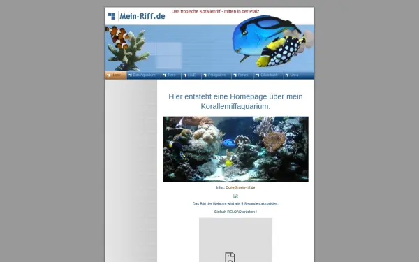 mein-riff.de