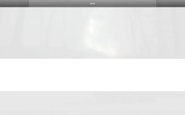 nebelleuchte.net