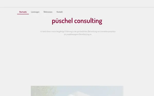 pueschel-consulting.de