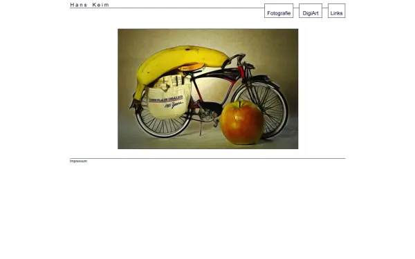 hans-keim.de
